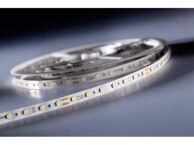 TRU COMPONENTS TRU-FLEX-350-24-KW LED-strip Energielabel: A+ (A++ - E) Met soldeeraansluiting 24 V 5000 mm Koud-wit