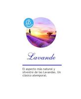 Geurolie Brumas de ambiente 50 ml Lavande lavendel Boles d'olor - Boles d olor - thumbnail