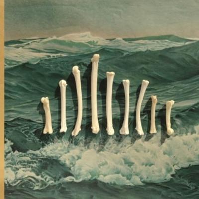 Sub Contra - LP (0790377033717)