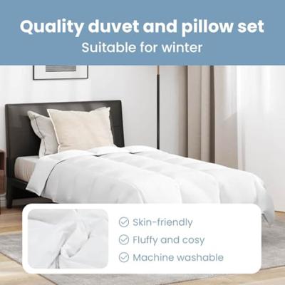 Winter Dekbed met kussen 2 pcs Wit Donsveertjes