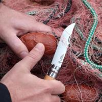 Zakmes Opinel Nº10 Roestvrij staal beukenhout 10 cm - thumbnail