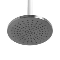 Hotbath Cobber Hoofddouche 20cm Verouderd Ijzer M100 - thumbnail