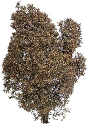 Busch 3590 Struik 150 mm Herfst