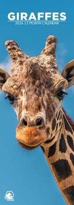 Giraffe Slimline Kalender 2026