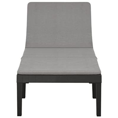 Ligbed met kussen kunststof antracietkleurig Ligbed met kussen kunststof antracietkleurig