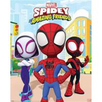 Poster Spidey and his Amazing Friends - Power of 3 40x50cm - thumbnail