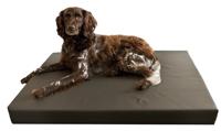 Holland Animal Care Dogbed HD, 75 x 100 cm - thumbnail