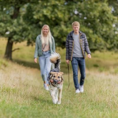 TRIXIE HONDENRIEM RUSTIC SLEEPLIJN VETLEER DONKERBRUIN 10 MTRX0,8 CM