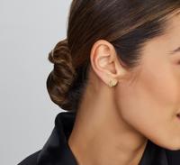 TFT Oorknoppen Schelp Geelgoud Glanzend 8 mm x 5.4 mm - thumbnail