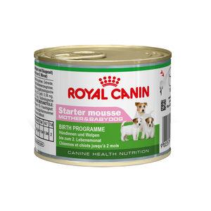 Royal Canin Dog Starter Mousse Wet 12x195g