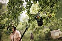 Fiskars 1001562 1001562 Fruitplukker - thumbnail