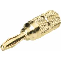 AGS71 Luidsprekerconnector Stekker, recht Aantal polen: 1 Goud 2 stuk(s) - thumbnail