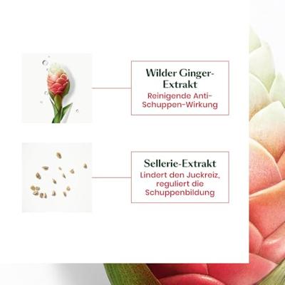 Styling Crème René Furterer