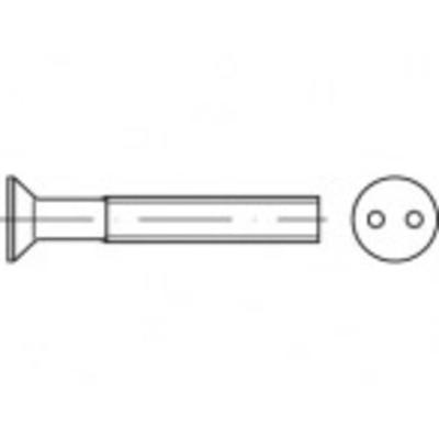 TOOLCRAFT TO-5379957 Veiligheidsschroeven M3 20 mm Tweegats 88112 RVS A2 100 stuk(s)