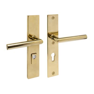 Intersteel AchterdeurbeslagJura PC 72mm messing - 0013.396436