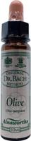 Ainsworths Olive Bach 10 Milliliter - thumbnail