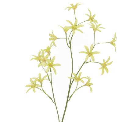 Tweedia Oxypetalum Kunsttak 68cm Groen