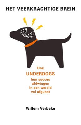 Het veerkrachtige brein - Willem Verbeke - ebook