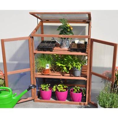 Rosemarys Choice kweekkas