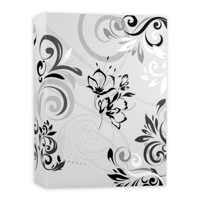 ZEP Zubehör Digitalkameras EB46100W Fotoalbum Wit