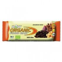 Organic Food Bar Biologische Cinnamon Raisin Bar 50 Gram Organic Food Bar Biologische Cinnamon Raisin Bar 50 Gram