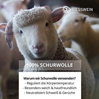 Giesswein OBERSTAUFEN - alle - thumbnail