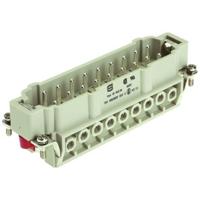 HARTING Stekkerinzetstuk 09340162601 Inhoud: 1 stuk(s) - thumbnail