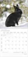 Konijnen Kalender 2026 - thumbnail