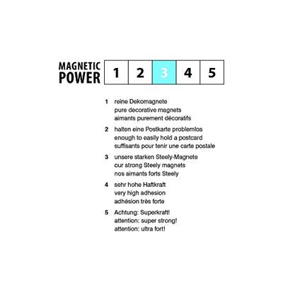 Trendform Magnetische Eend - set van 6 verschillende