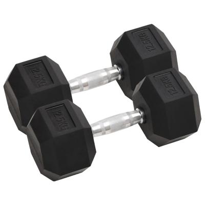 VidaXL Halters 2 st 25 kg totaal gietijzer VidaXL Halters 2 st 25 kg totaal gietijzer
