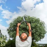 Fiskars PowerGear™ X HSX92 Heggenschaar Handmatig - thumbnail