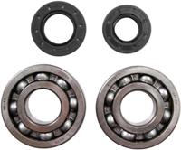 ALL BALLS Racing krukas lagerset crankshaft bearing set ab 24-1010 with simmerrings - thumbnail