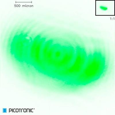 Picotronic Lasermodule Punt Groen 1 mW DD520-1-24(12x40)-QCW