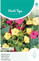 Zaden Mirabilis Nachtschone gemengd Hortitops - Hortitops - thumbnail