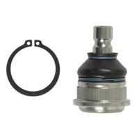 Fuseekogel ADG08684 - thumbnail