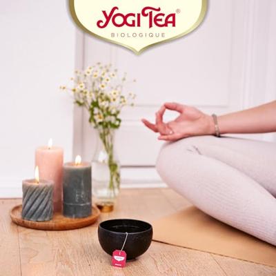 Yogi Tea Christmas Calendar 2024