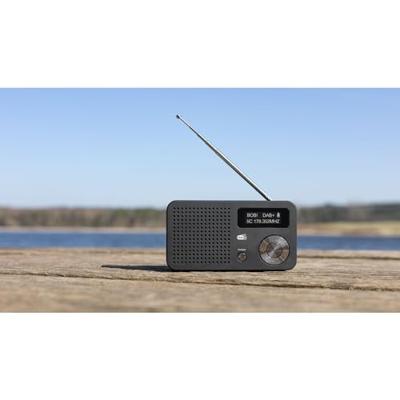 Imperial DABMAN 13 DAB+/FM-Radio Zwart - thumbnail