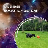 Dog Comets Pan-Stars Oranje L 30cm - thumbnail