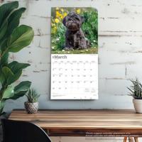 Shih Tzu Kalender 2026 - thumbnail