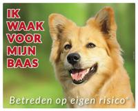 IJslandse Hond Waakbord - thumbnail