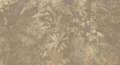 Muance Muance Fotobehang Coral Grove - MU13077