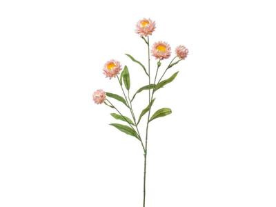 Kunst xerochrysum spray pink, 70 cm Hortus - Hortus Kunst xerochrysum spray pink, 70 cm Hortus - Hortus