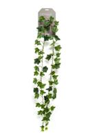 Ivy Garland Green 180 cm/65 lvs kunstplant Emerald - Emerald - thumbnail