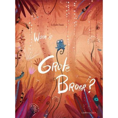 Waar is Grote Broer? (Hardback)