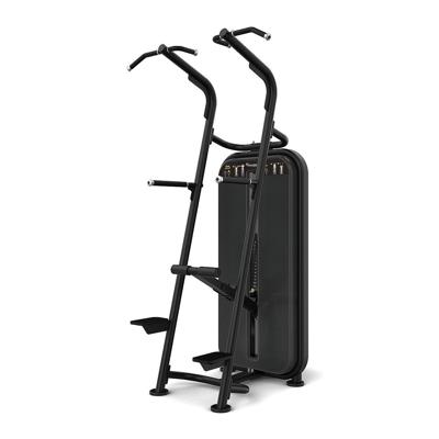 Vision Fitness chin/dip assist Vision Fitness chin/dip assist