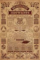 Poster Harry Potter - Quidditch At Hogwarts 61x91,5cm - thumbnail