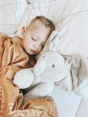 GUND - Flappy Elephant - Interactive Plush GUND - Flappy Elephant - Interactive Plush