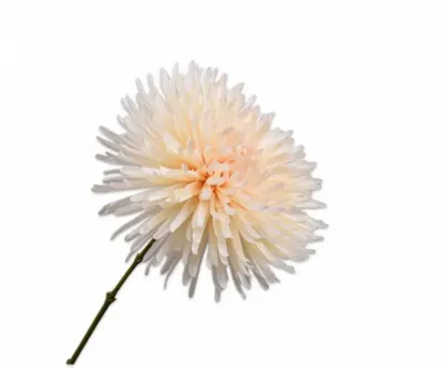 Silk-ka kunsttak chrysant 60cm creme