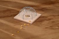 Nature muizenkooi draadmodel - thumbnail