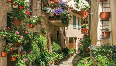 Bloemen straat 130x70cm Tuinschilderij Customize-it - Customize it Bloemen straat 130x70cm Tuinschilderij Customize-it - Customize it